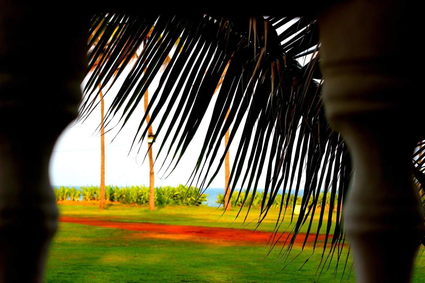 VGP Golden Beach Resort