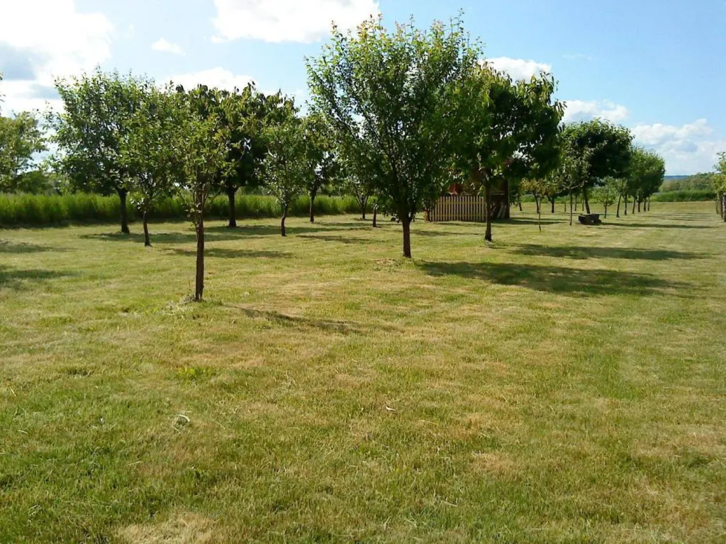 Seoski Turiziam Larva