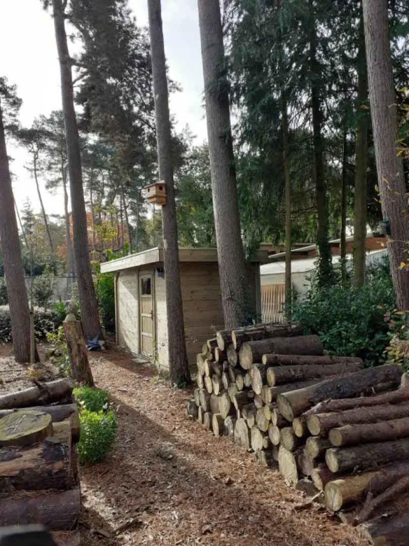 B&B Altijd Zomer (Adults Only)