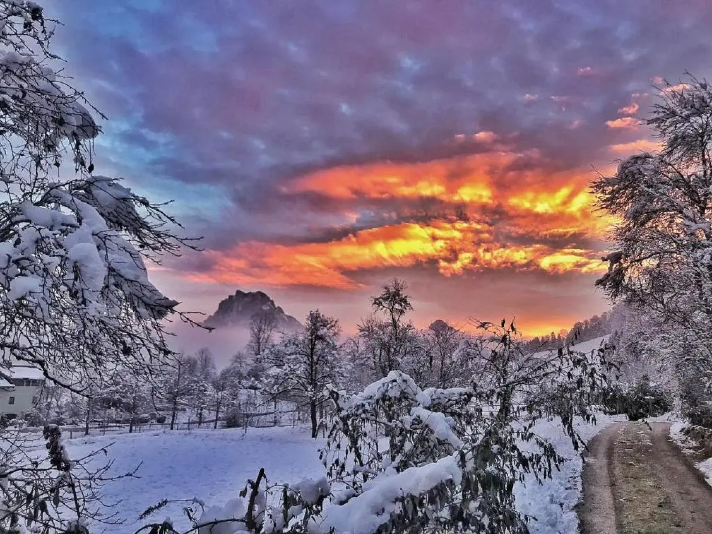 Mitterattweng-Florian Und Monika Clodi (Adults Only)