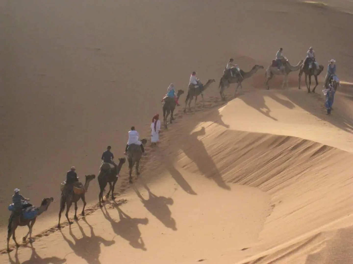 Moda Camp Merzouga - Camel Quad Sunboarding ATV