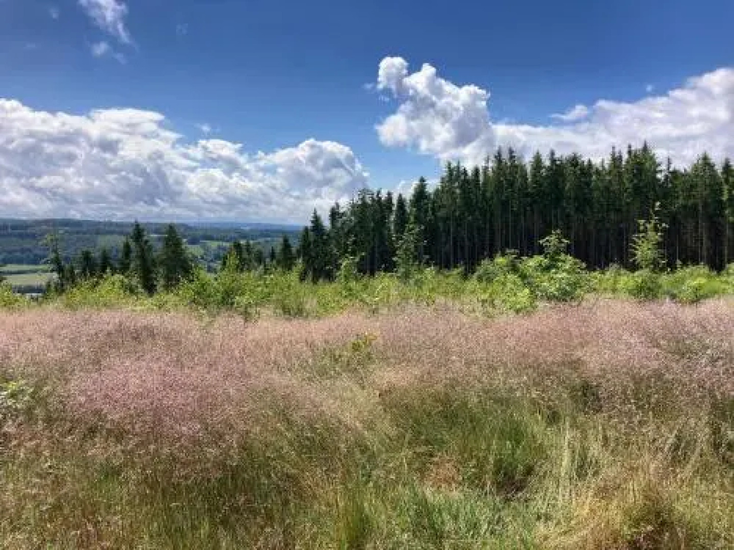 Terrasses de Malmedy Chalet 40