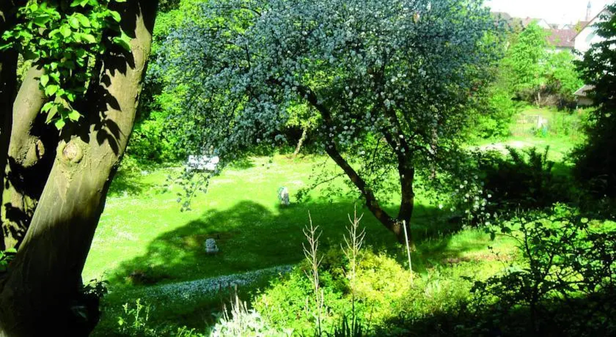 Bed & Breakfast Bredl