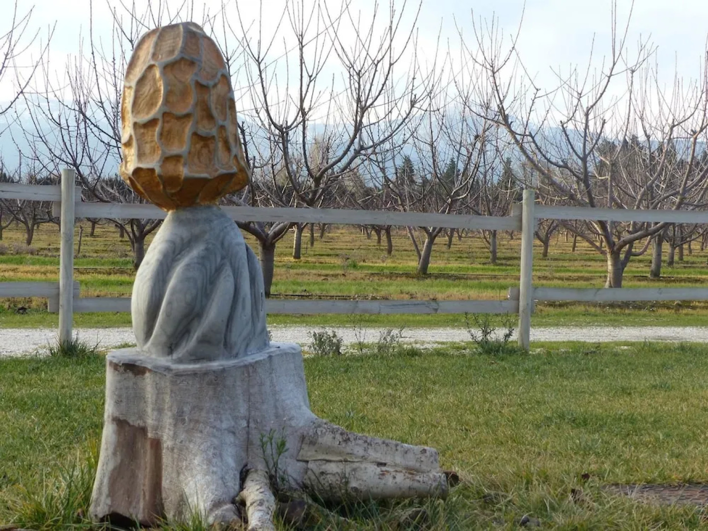 Bungalow With 3 Bedrooms in Elne, With Terrace - 3 km From the Beach