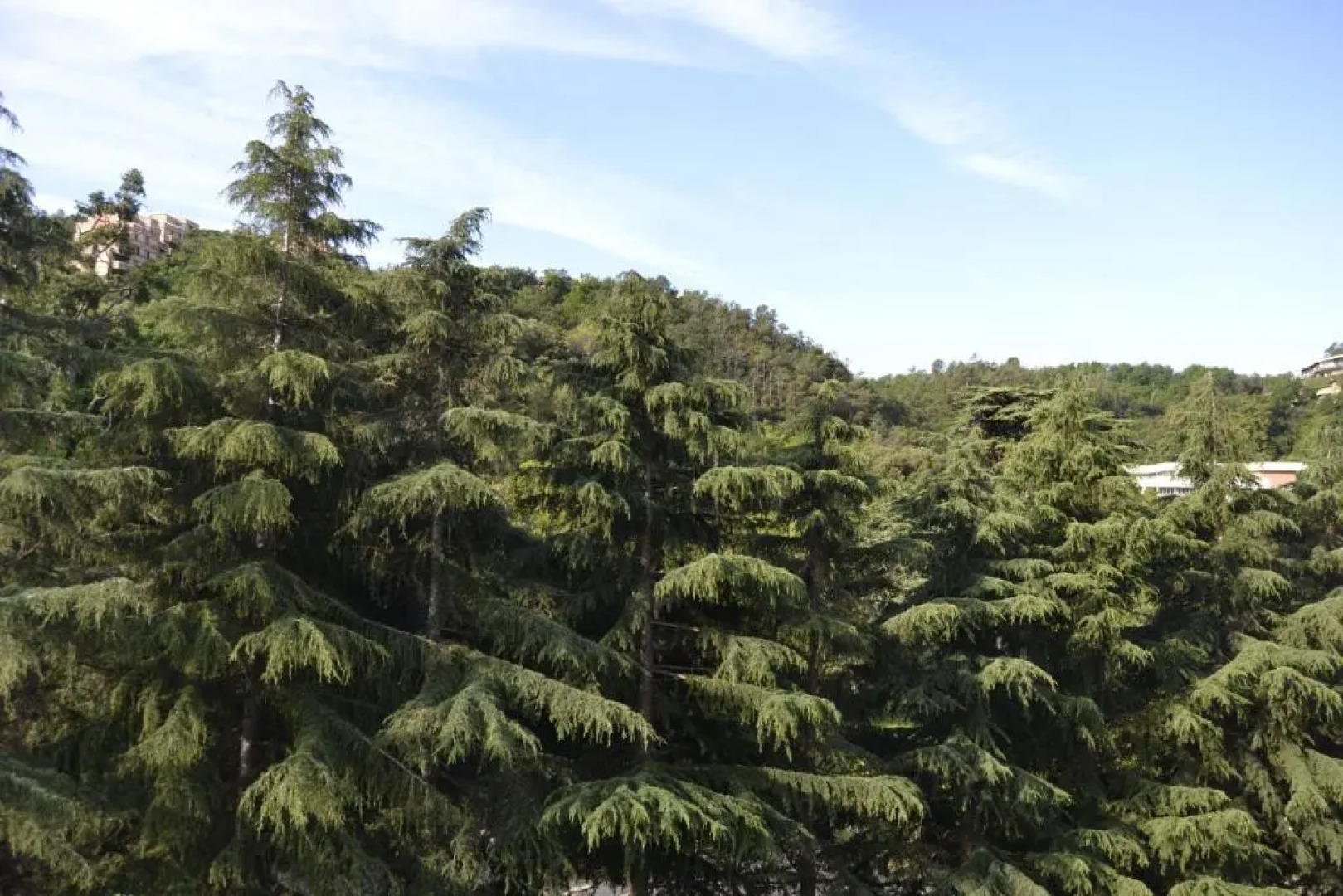 Glem Rooms and Breakfast