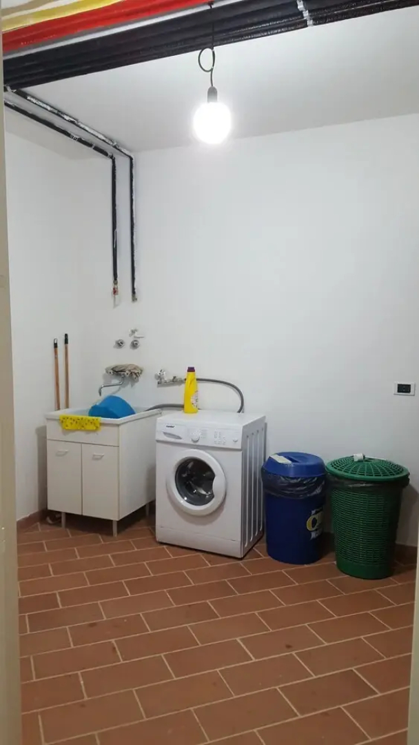 il Lentisco