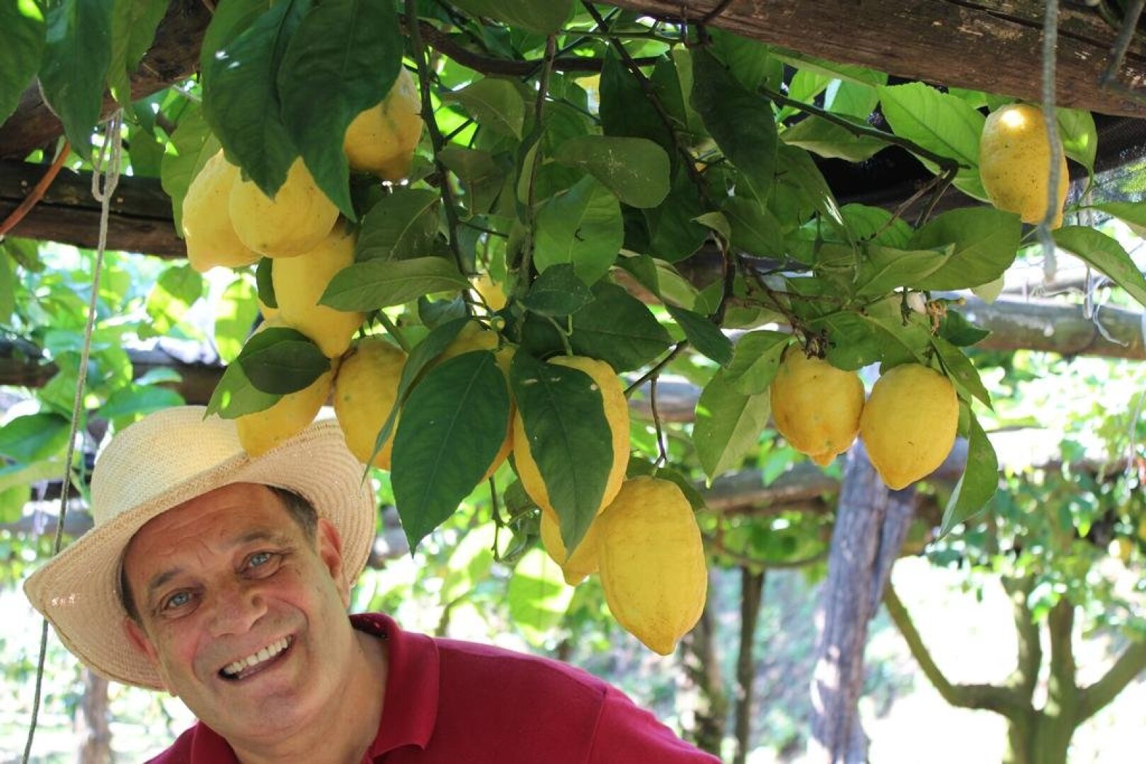 Casa Fasano Country House