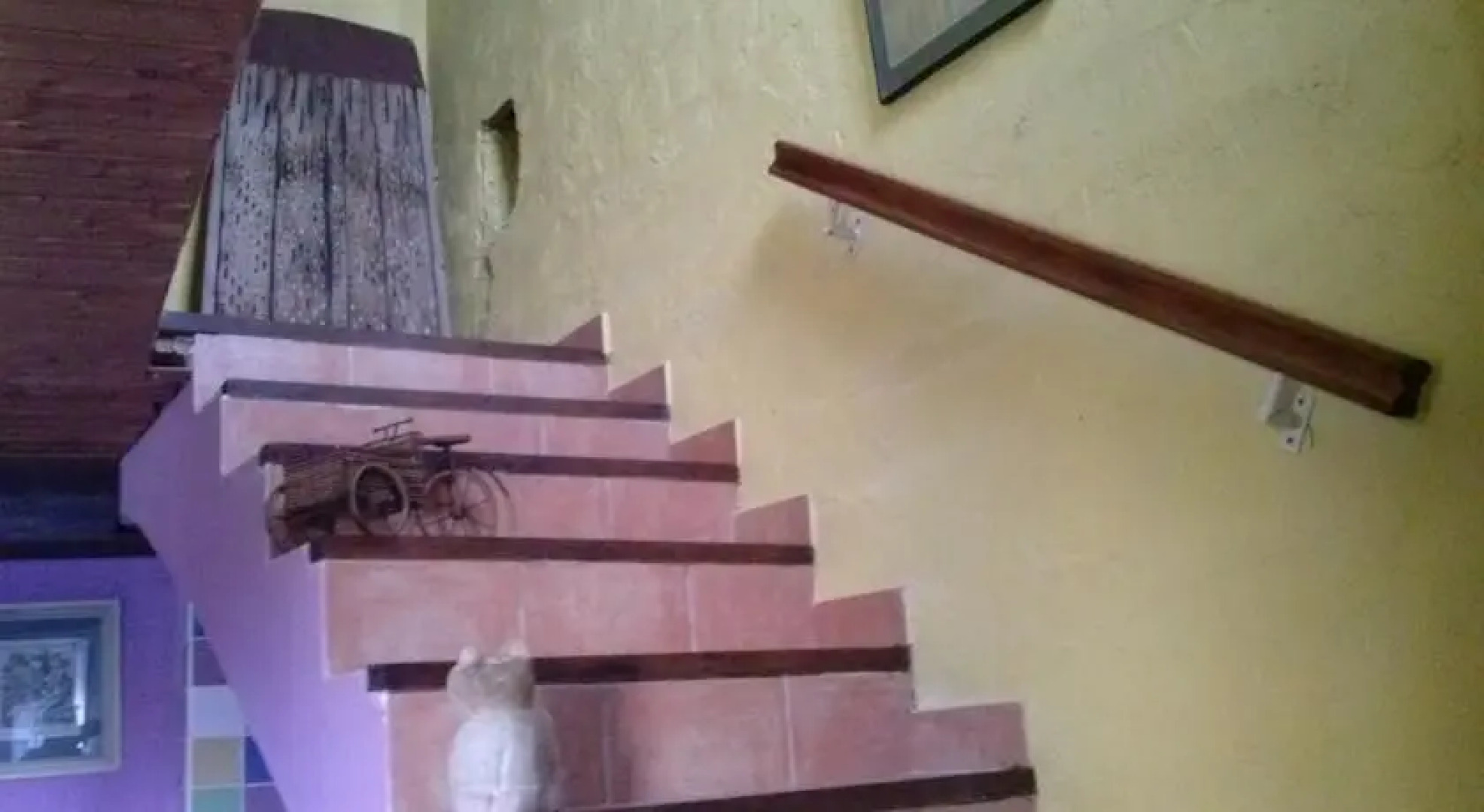 El Capricho del Almazaran