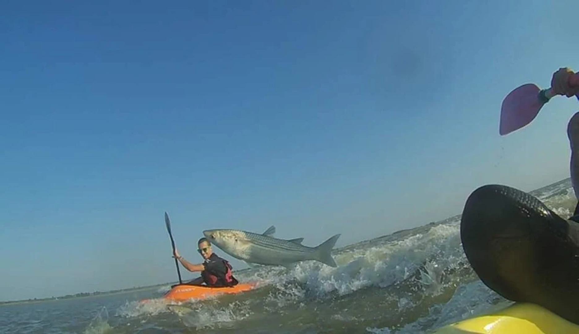 House With 5 Bedrooms in Le Val-saint-père, With Pool Access, Enclosed