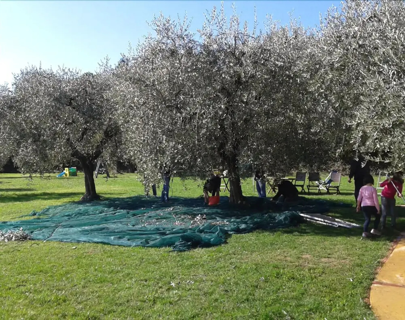 Agriturismo il Cardo
