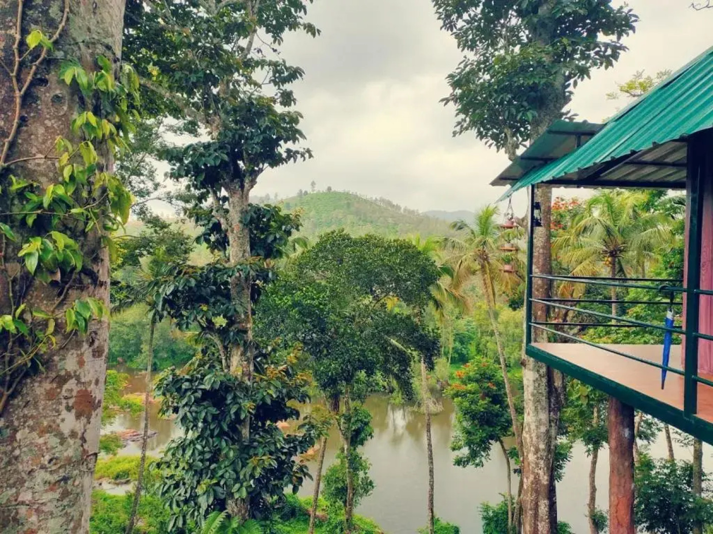 Noah's Nest Tree House