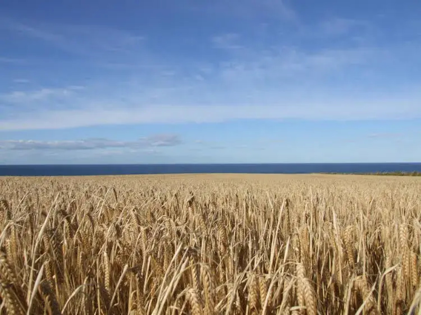 Bank View Self Catering Apartment