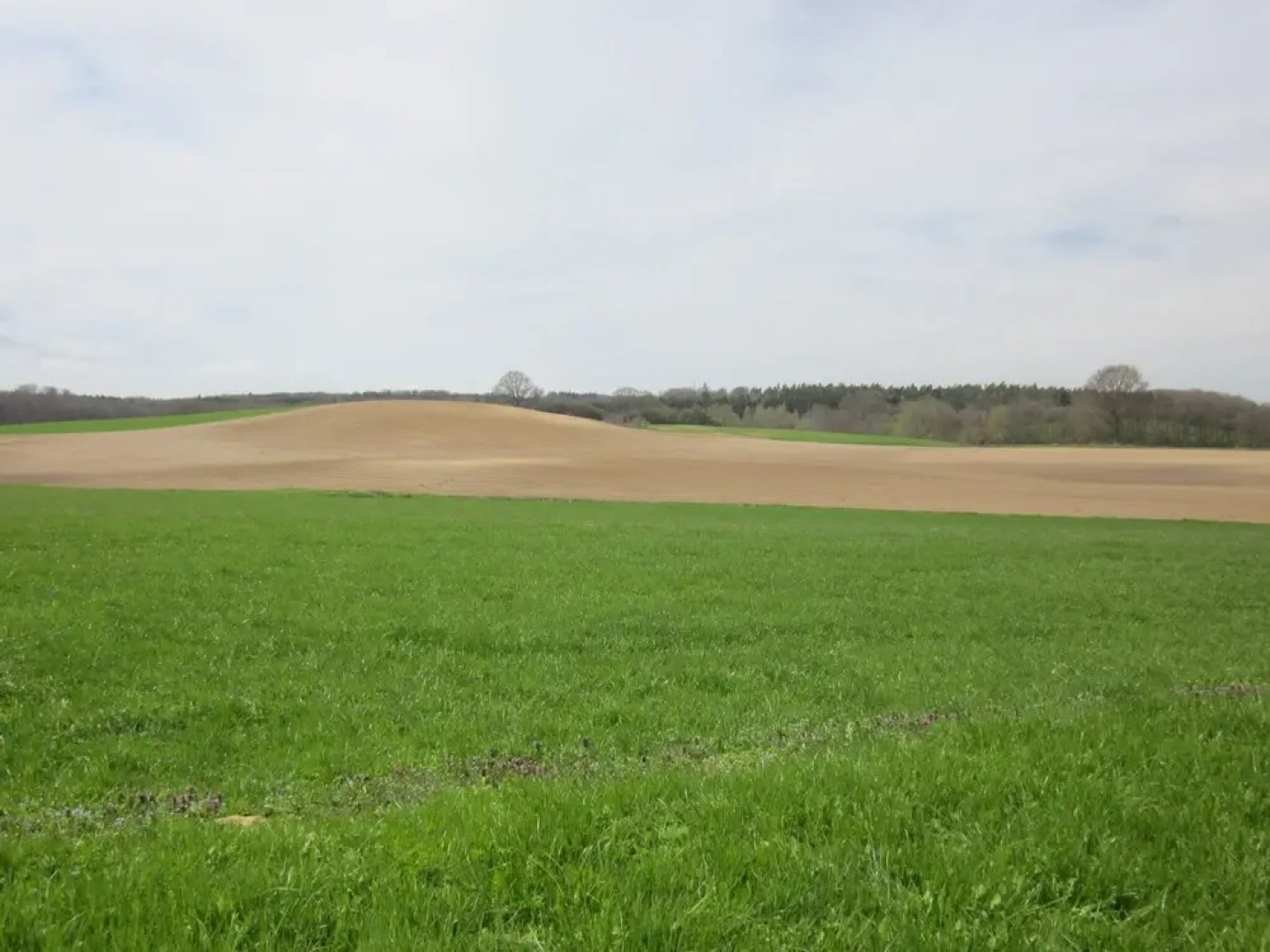 Quaint Holiday Home in Steffenshagen near Sea