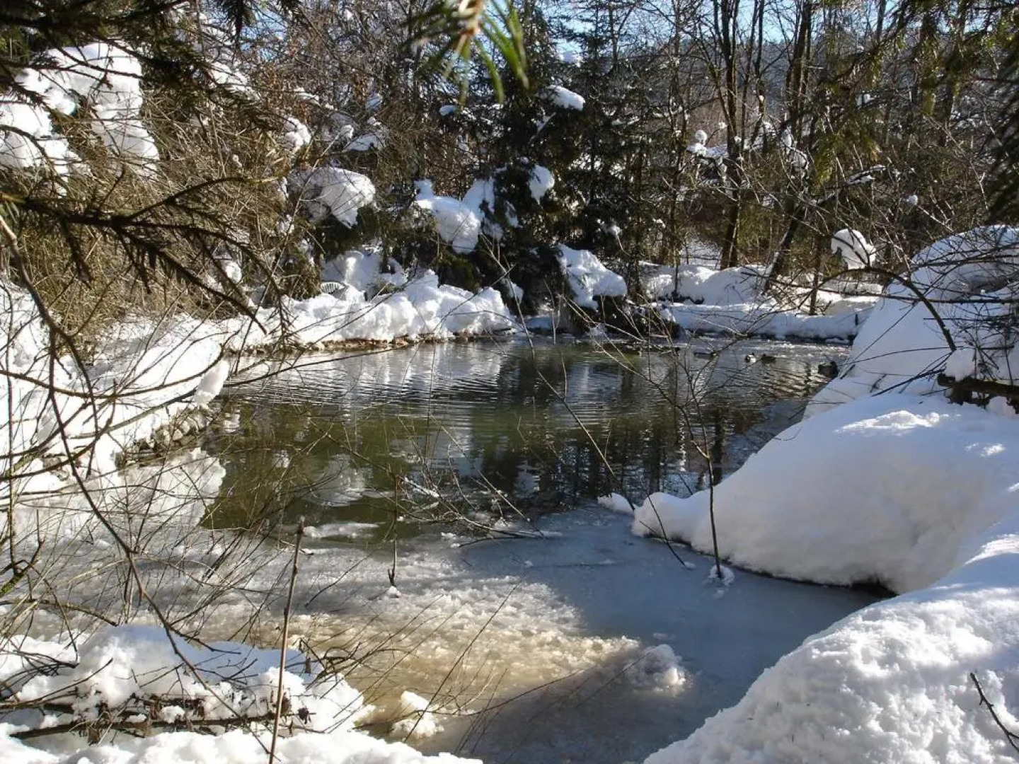Апартаменты Welcome - Bienvenue - Добро пожаловать 