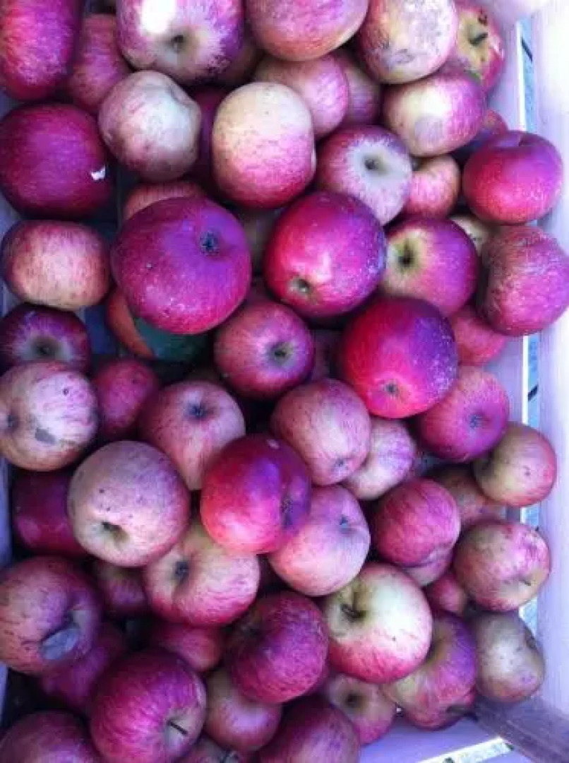 Chambre d'Hôte Près de Deauville