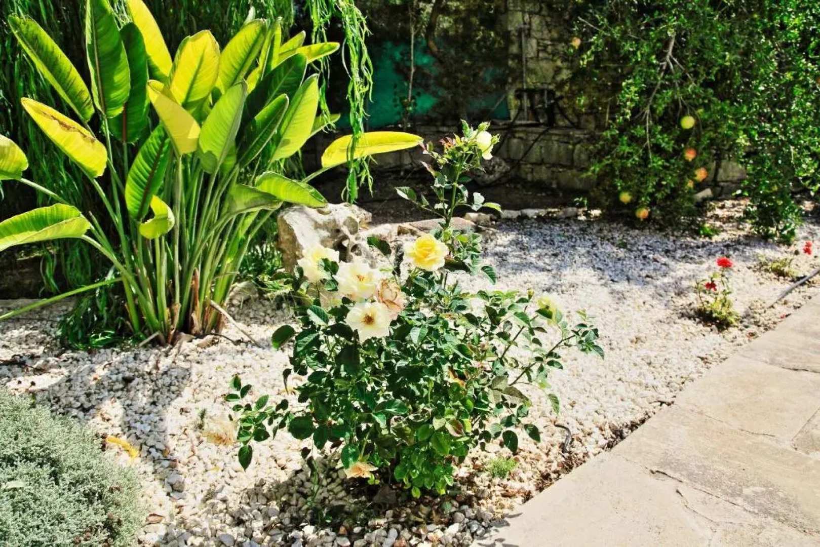 Simeon Estate in Drouseia