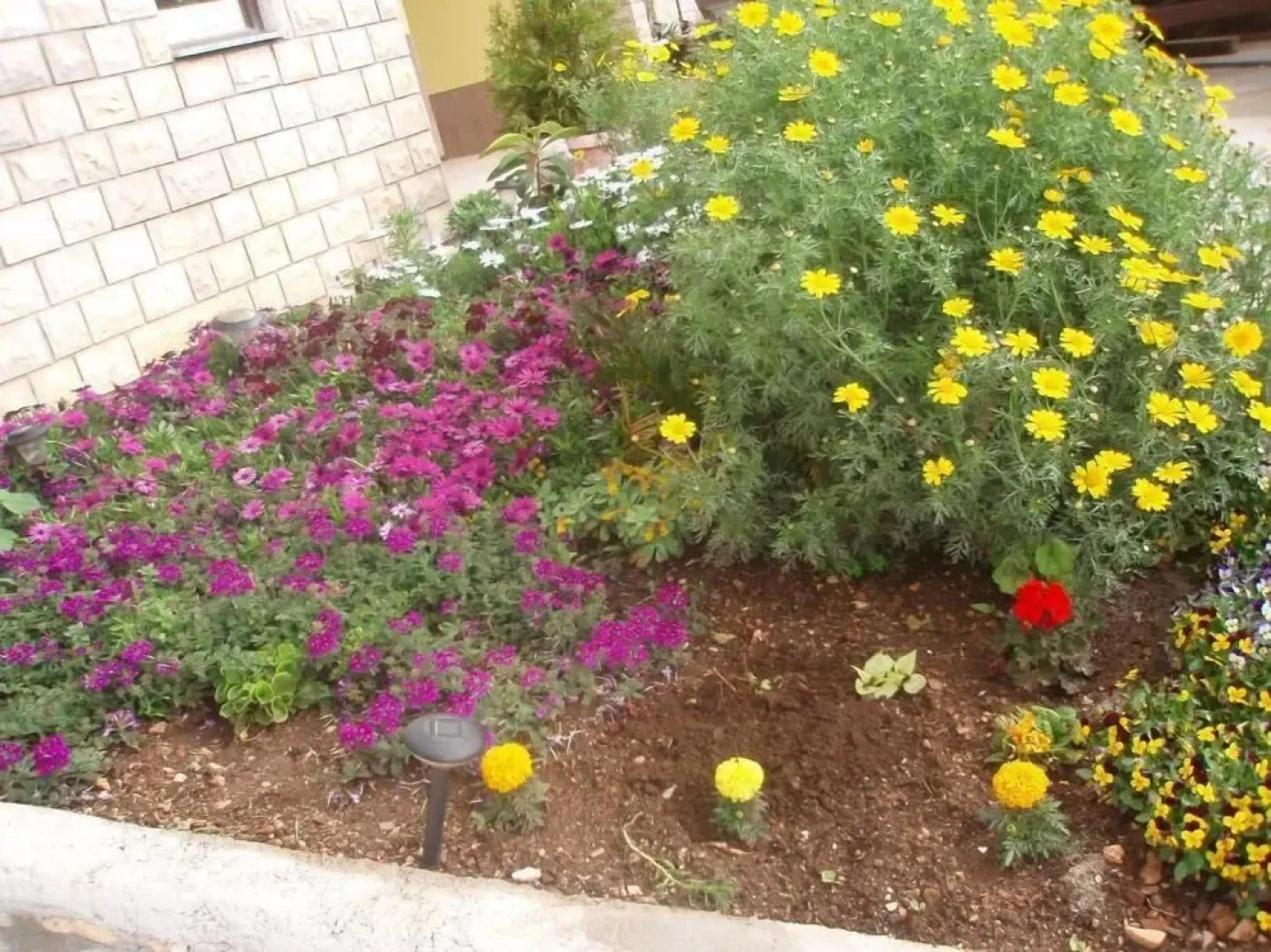 Teresa - Great Location & Parking - A1