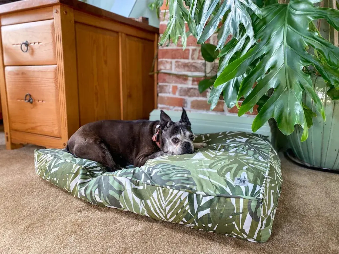 Upstairs at Thevictorian - Lush Walkable and Dog-friendly Retreat - Steps From Downtown Bellingham