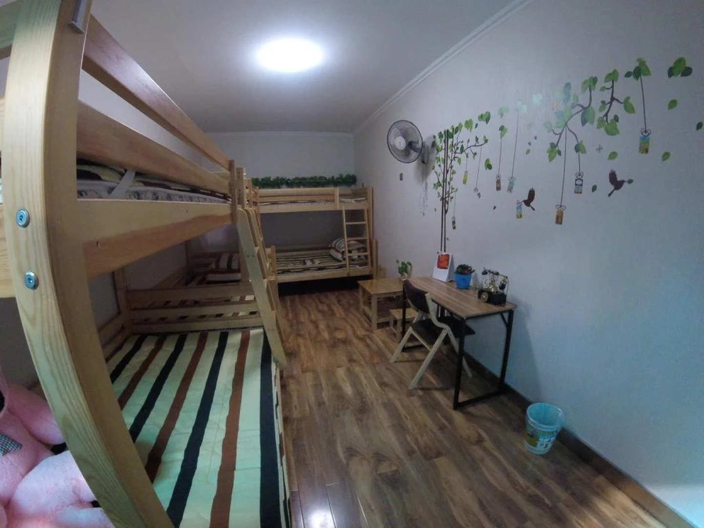Bean Sprout Hostel