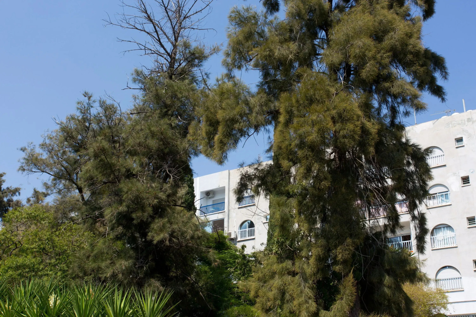 White Arches Sea View Apt No.1 by TrulyCyprus