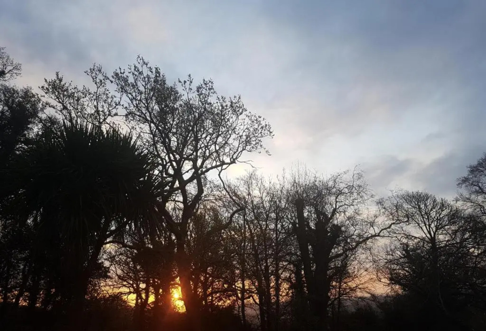 2 Bed Cottage - Sleeps 4 - Garden, Pets, Wifi