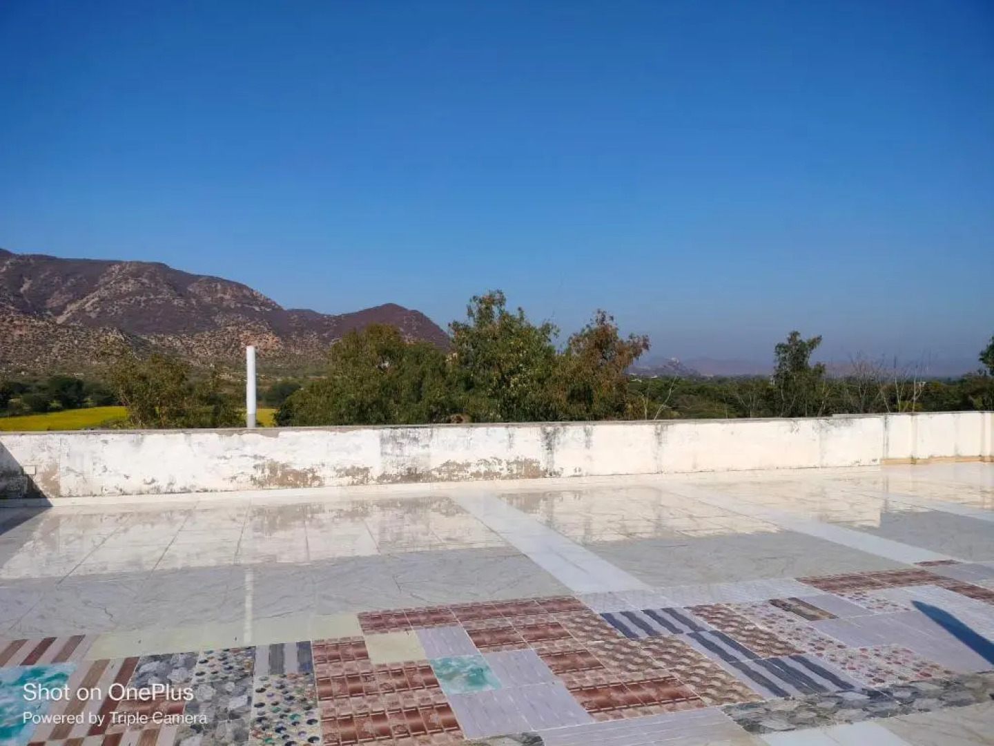 Tiger Paradise - Sariska Viratnagar