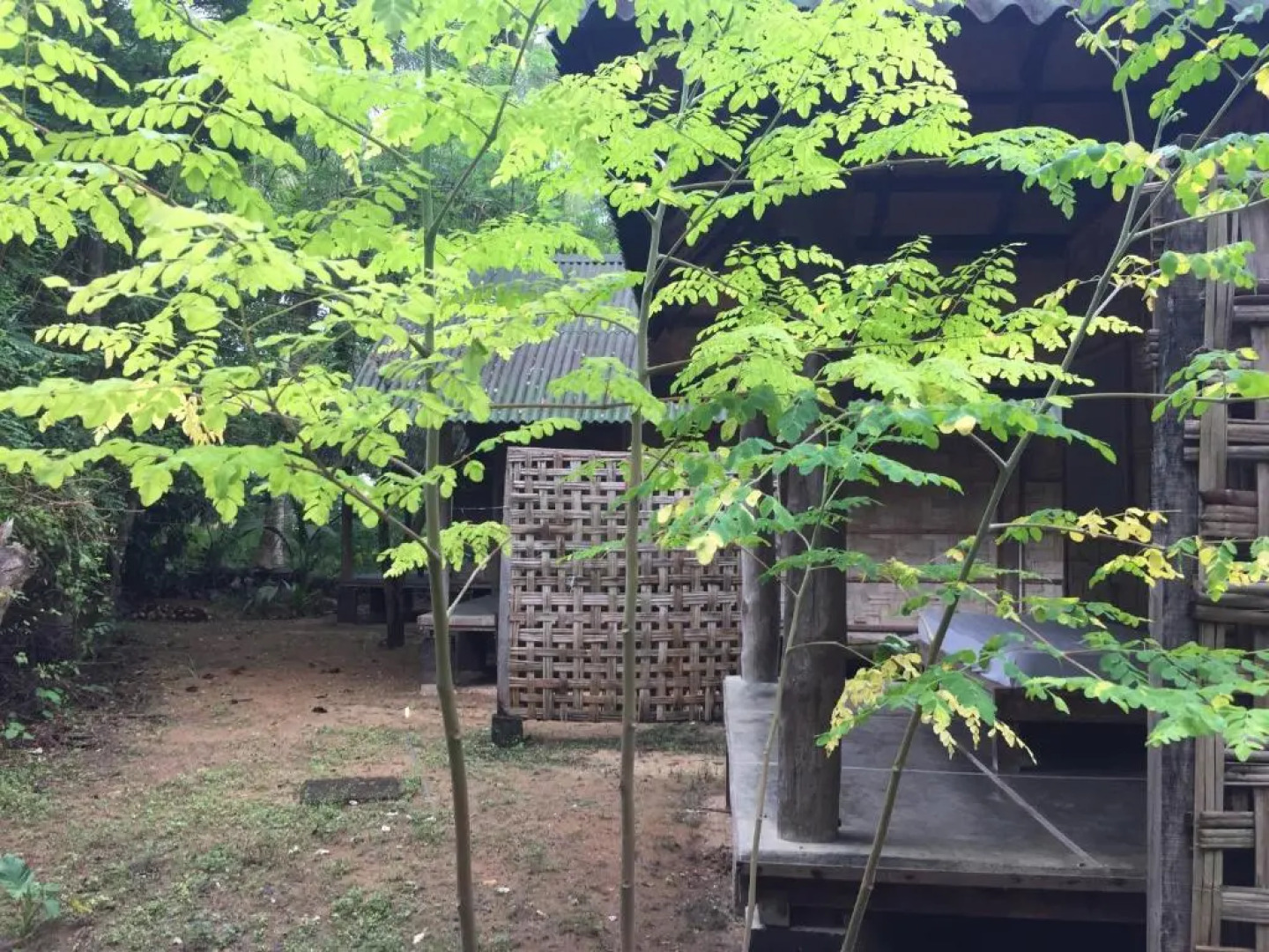 Emerald Gecko Resort-Neil Island