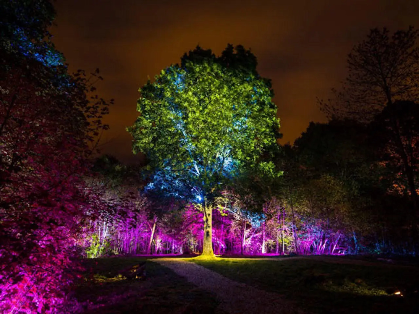 Pandora Beach Eco Resort