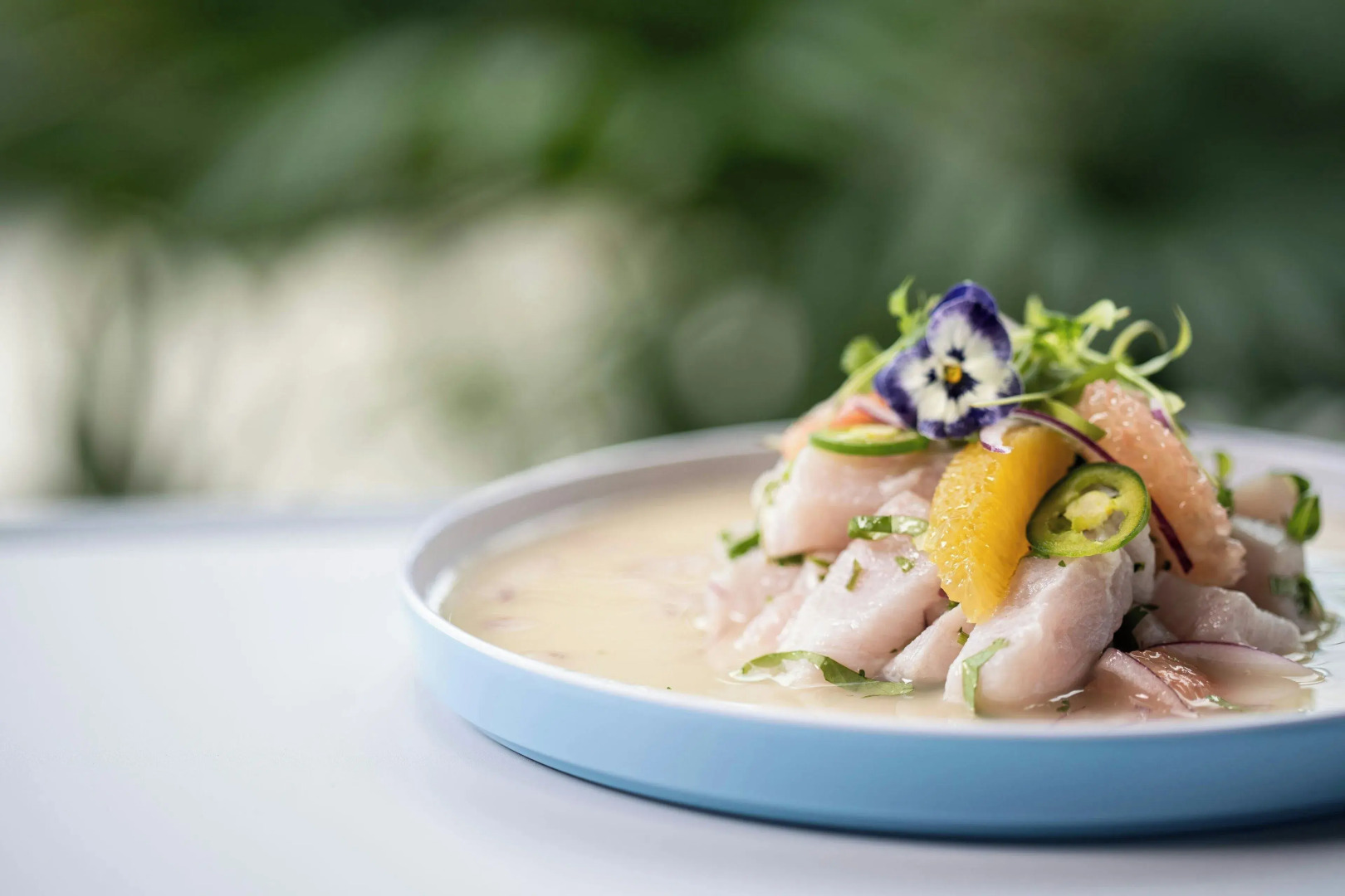 The Belgrove Resort & Spa, West Palm Beach, Autograph Collection