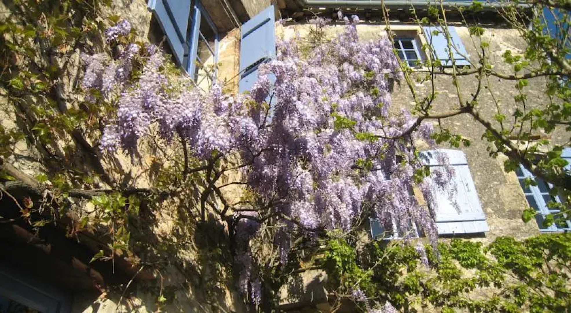 La Maison dHôtes Chez Delphine