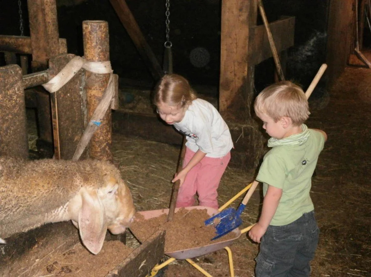 Reitbauernhof Ferner