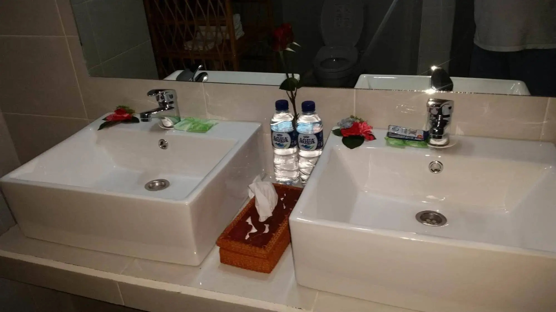 Starlight Hotel Lovina