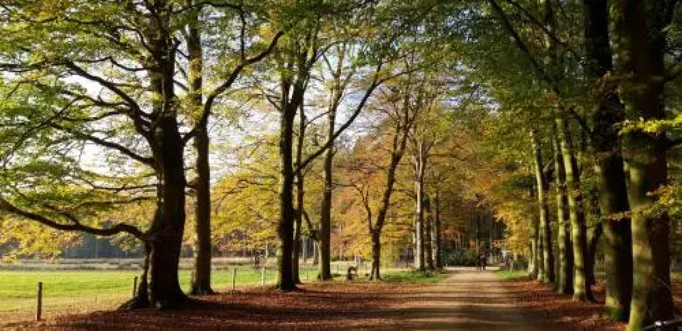 B&B Veluwemeerpension