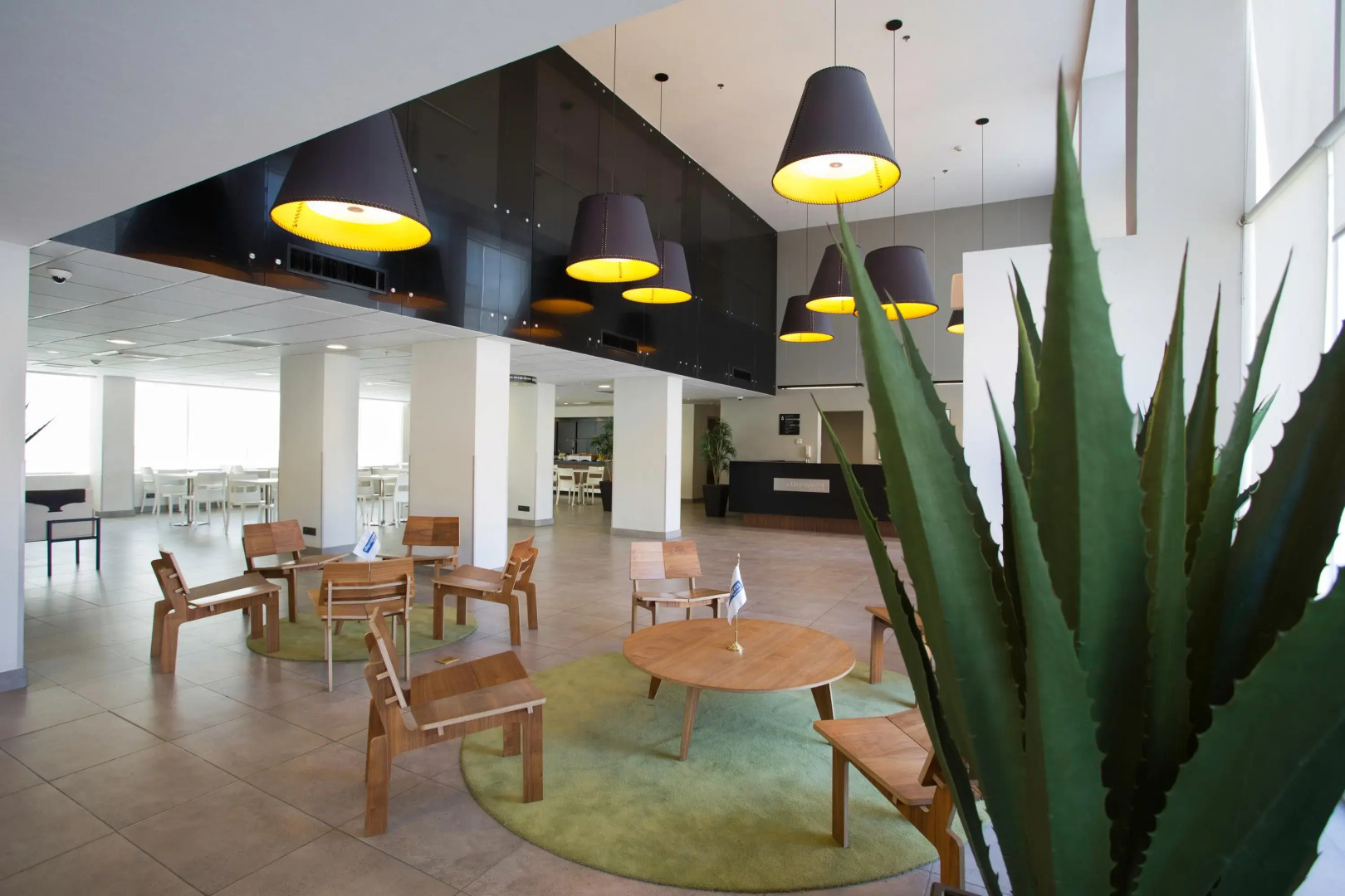 City Express by Marriott Tijuana Insurgentes