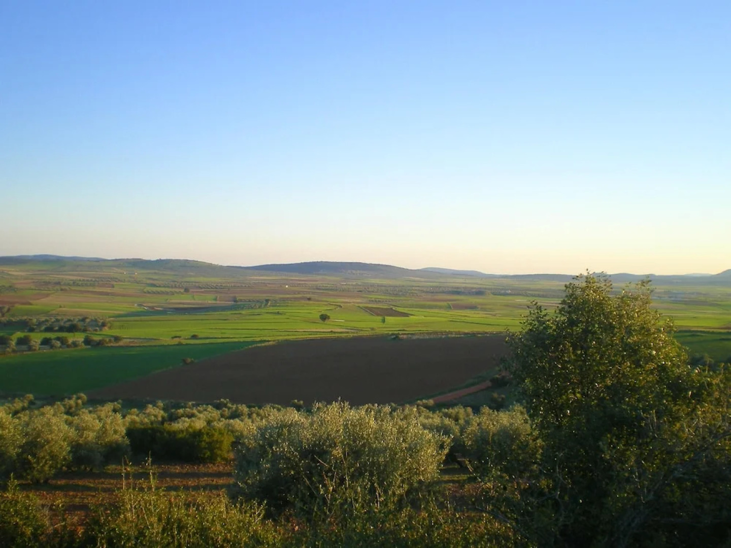 House With 4 Bedrooms in Castellar de Santiago, With Furnished Terrace