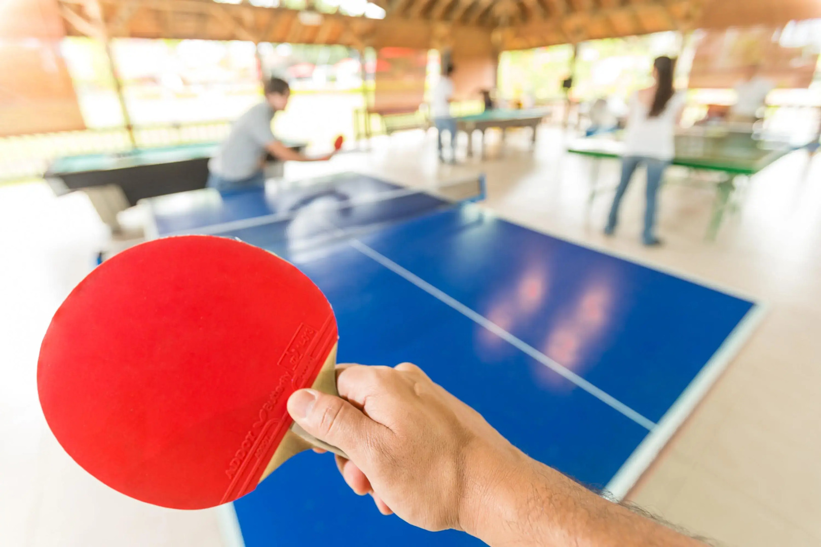 Decameron Las Heliconias