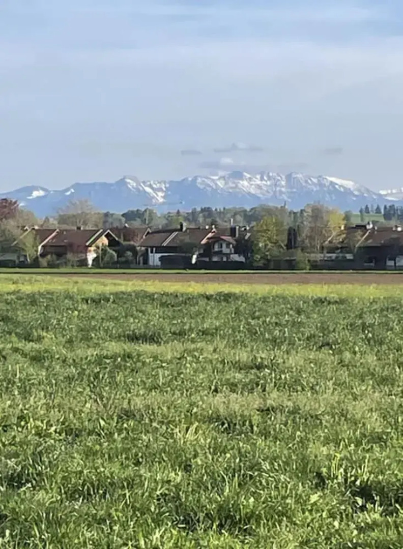 Zum Brau Comfortable Holiday Residence