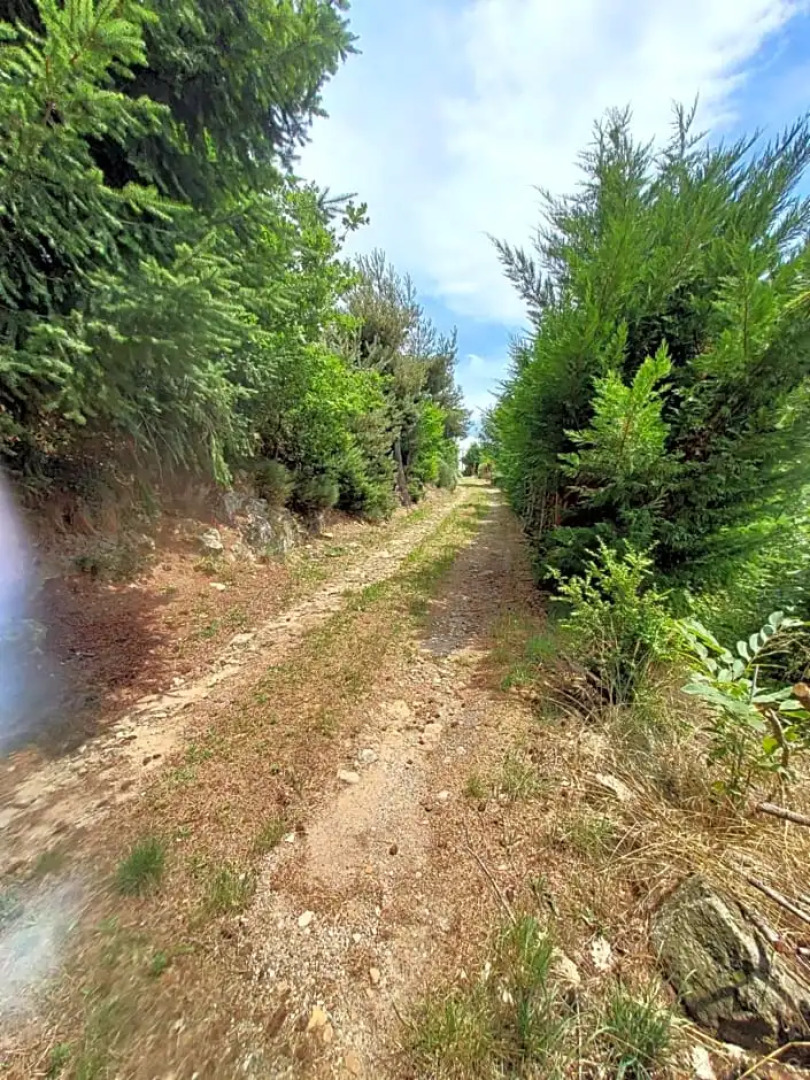 Les Granges de La Coste