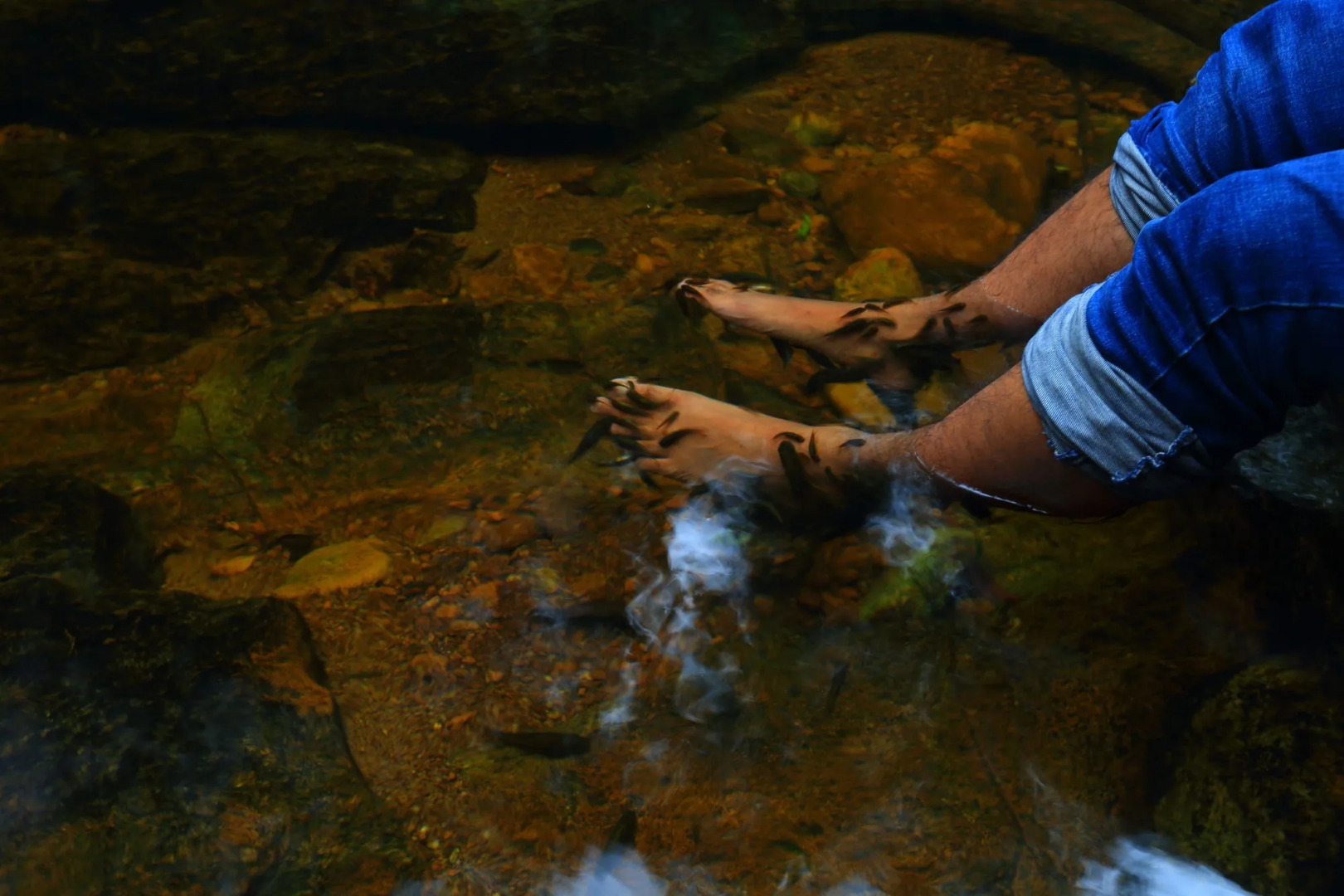 The Rainforest Ecolodge