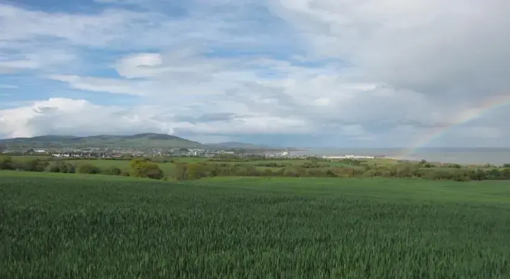 Moneylands Farm B&B & Self-Catering