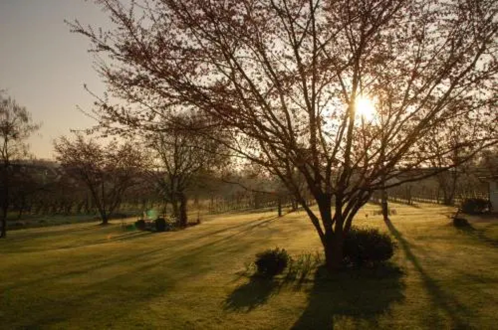 Hotel Gästehaus Zürn