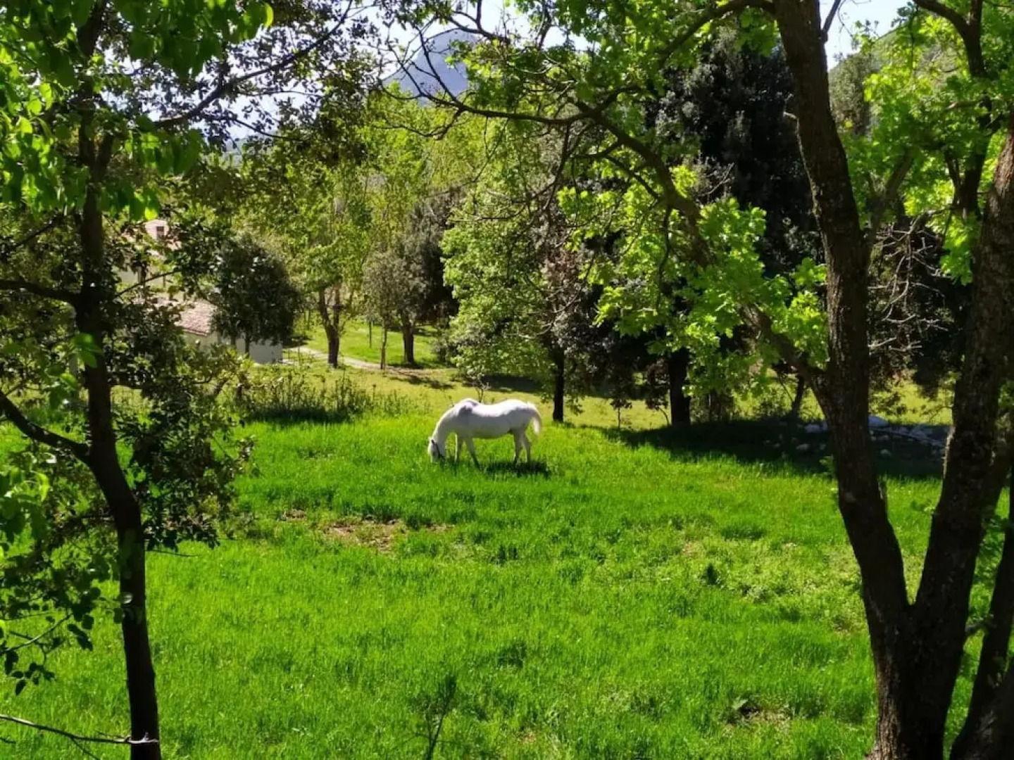 Agriturismo Colloreto
