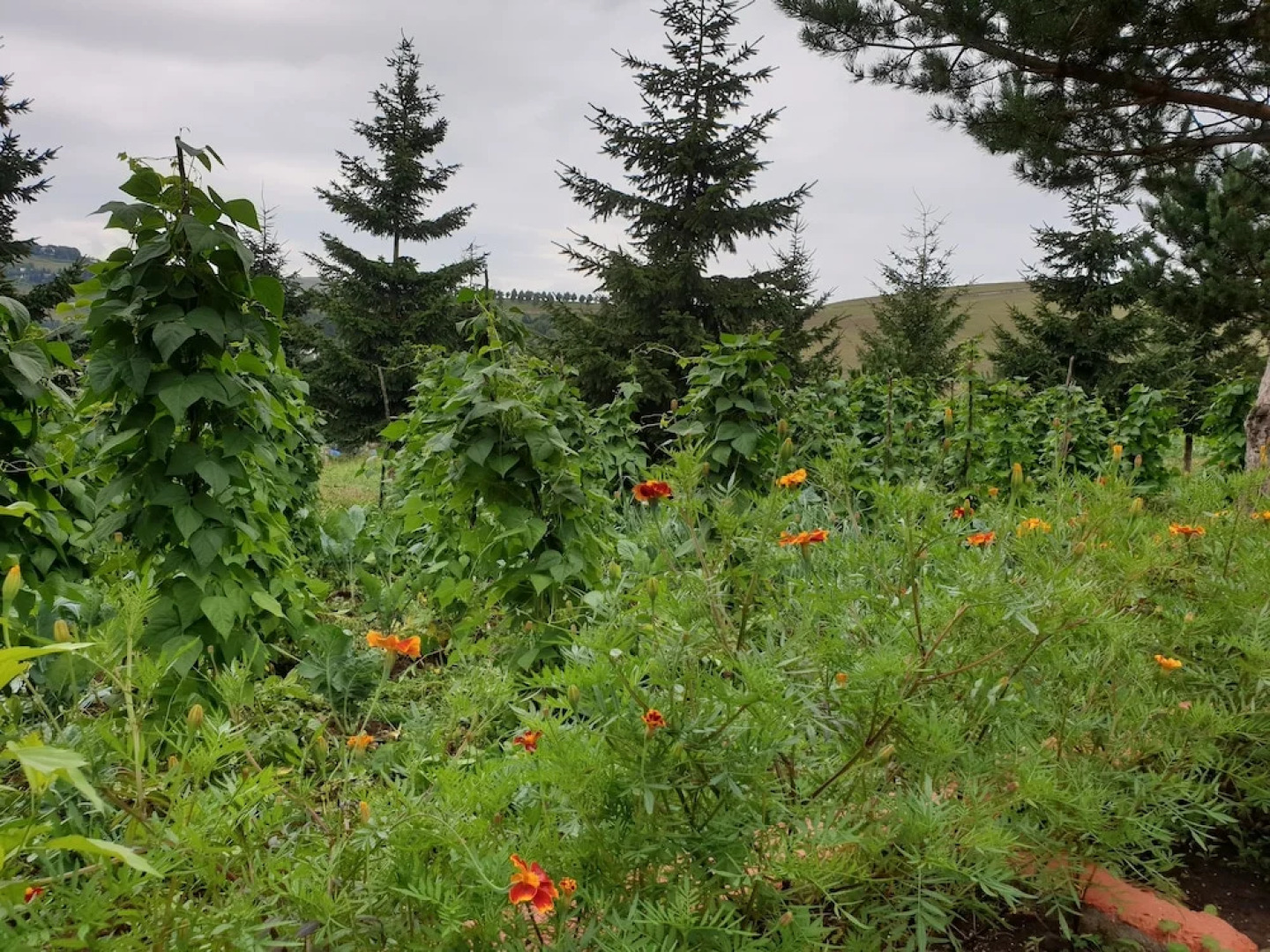 Yildiz Tepe Otel & Pansiyon