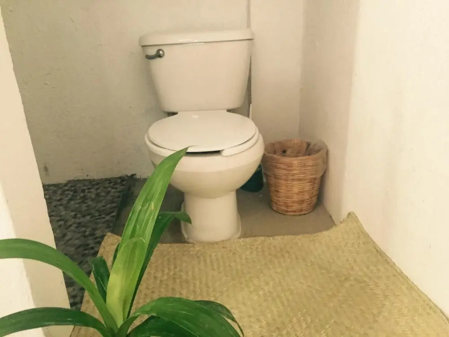 Casa Demetria Friendly