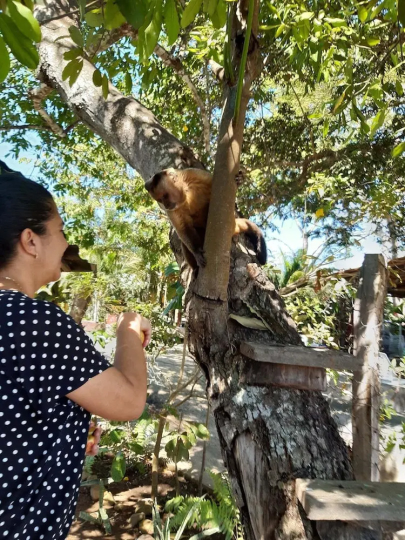 Pousada Pantanal Norte