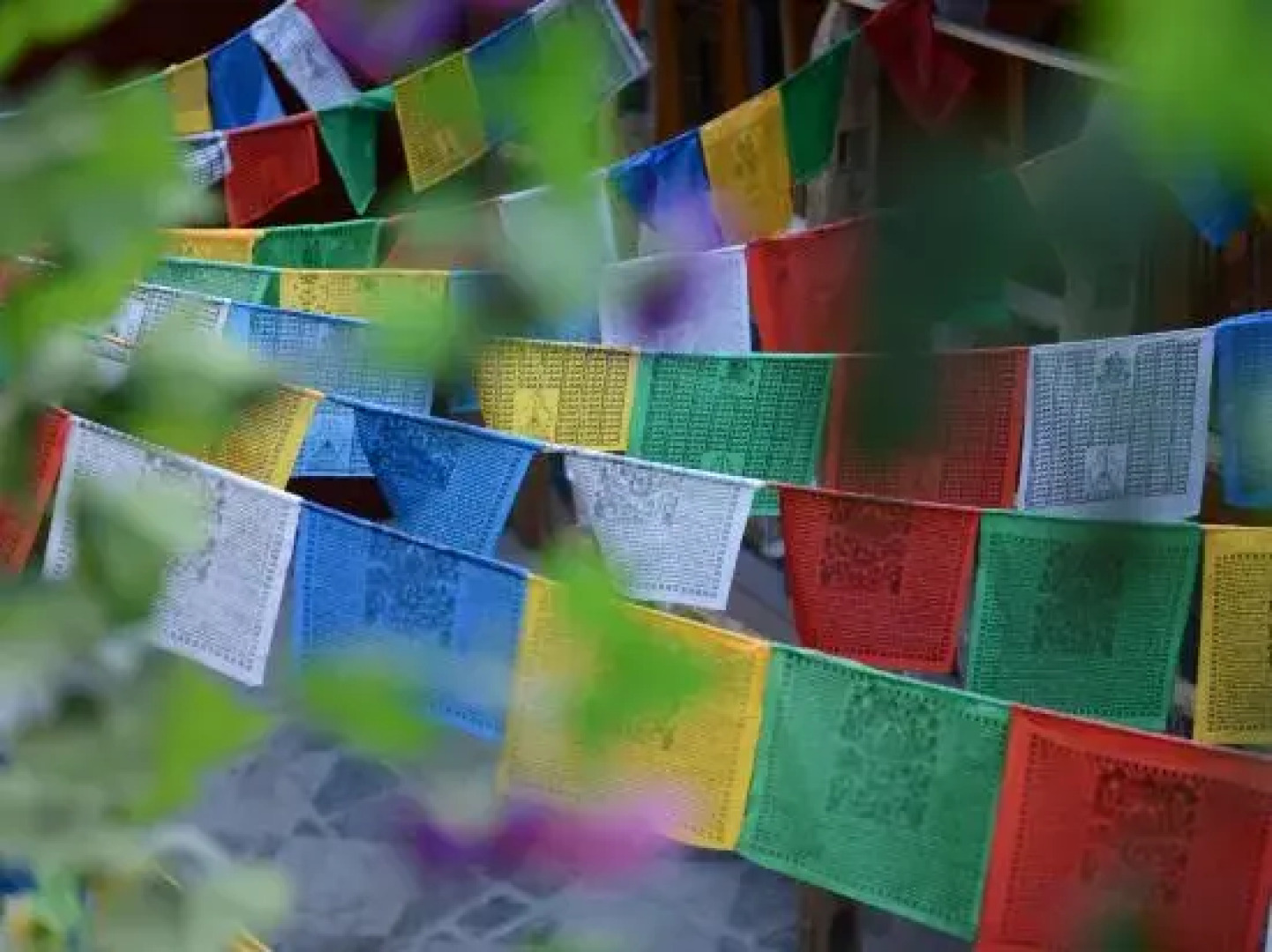 Yuanfang Family Courtyard Inn