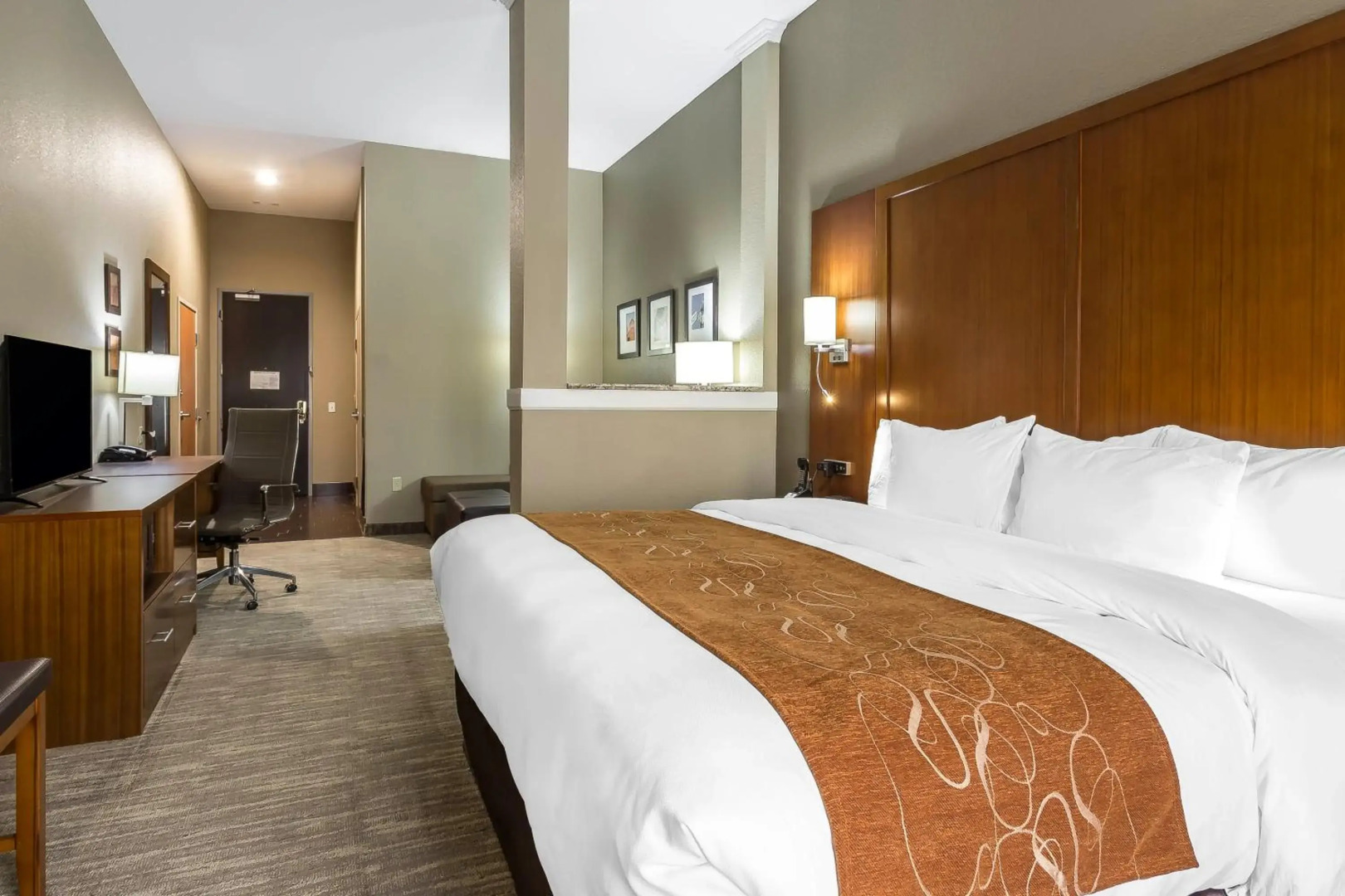 Comfort Suites University