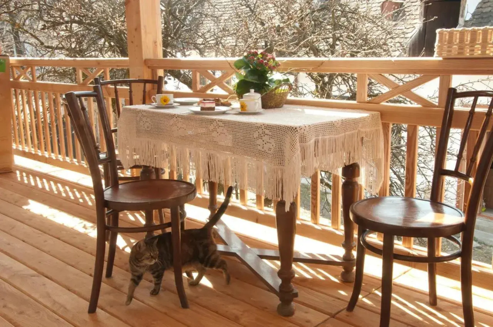 Bio-Ferienhof Fam. Neuberger