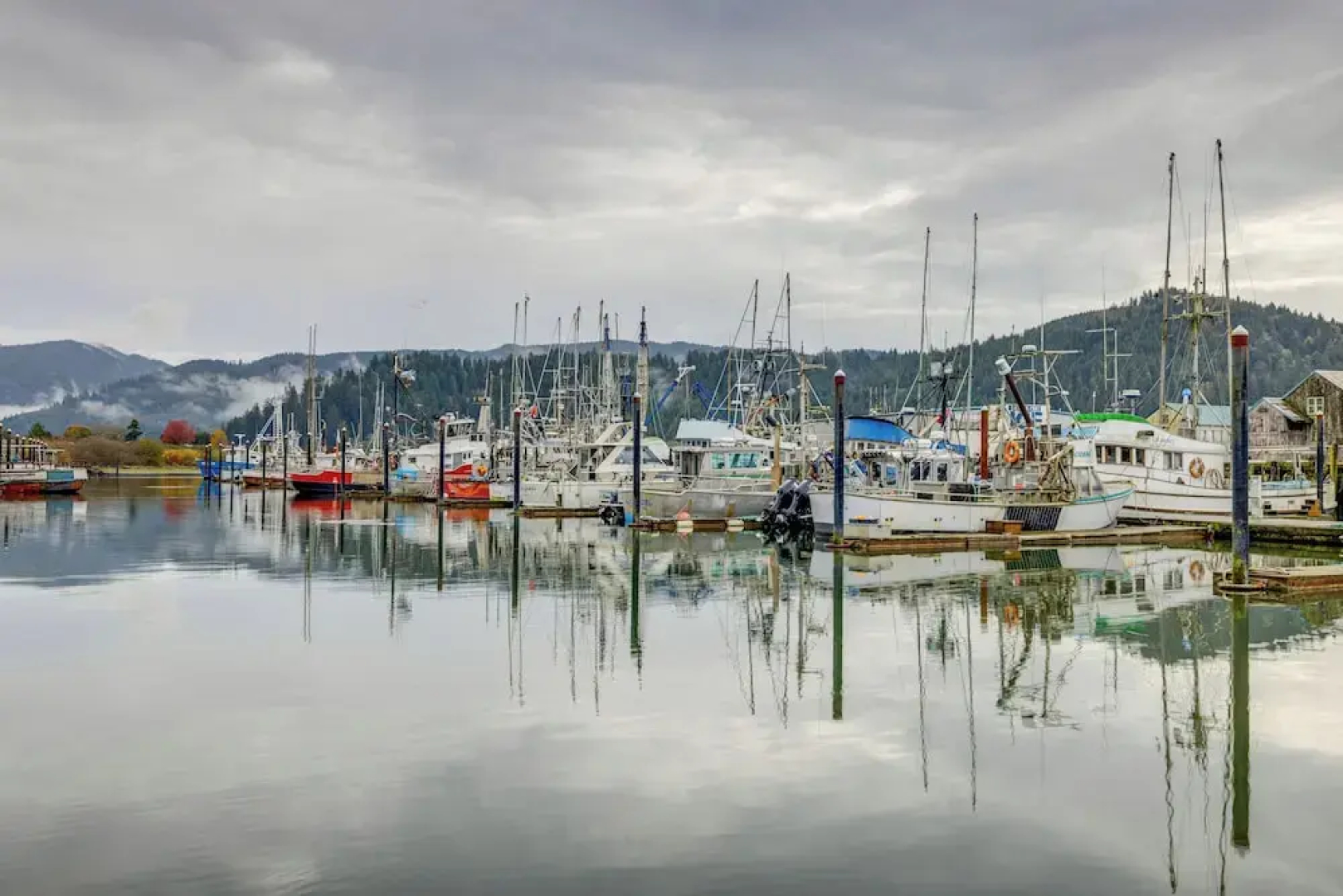 Fish, Hike & More: Tillamook Bay Escape!