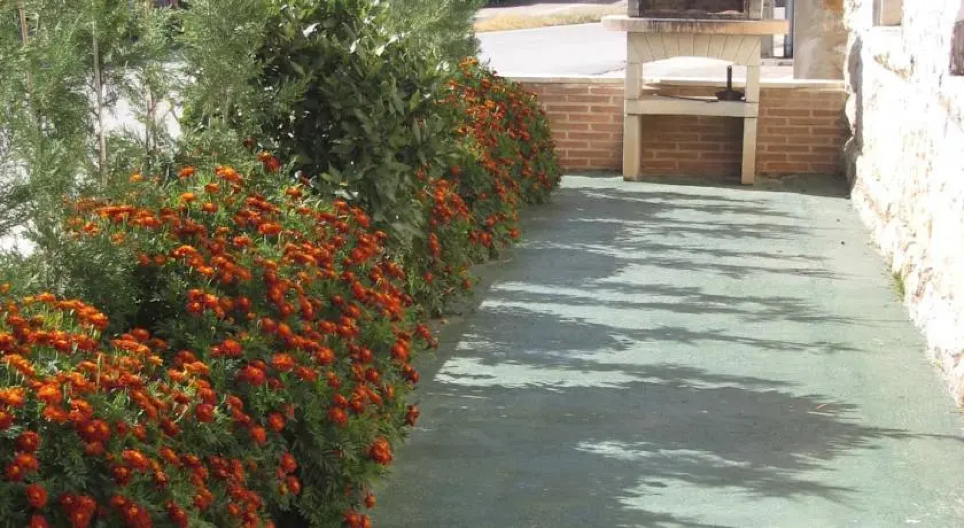 Las Hoyas del Cañon del Rio Lobos